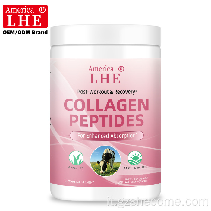 Shecome Multi Collagen Peptides Polvere di peptidi di collagene